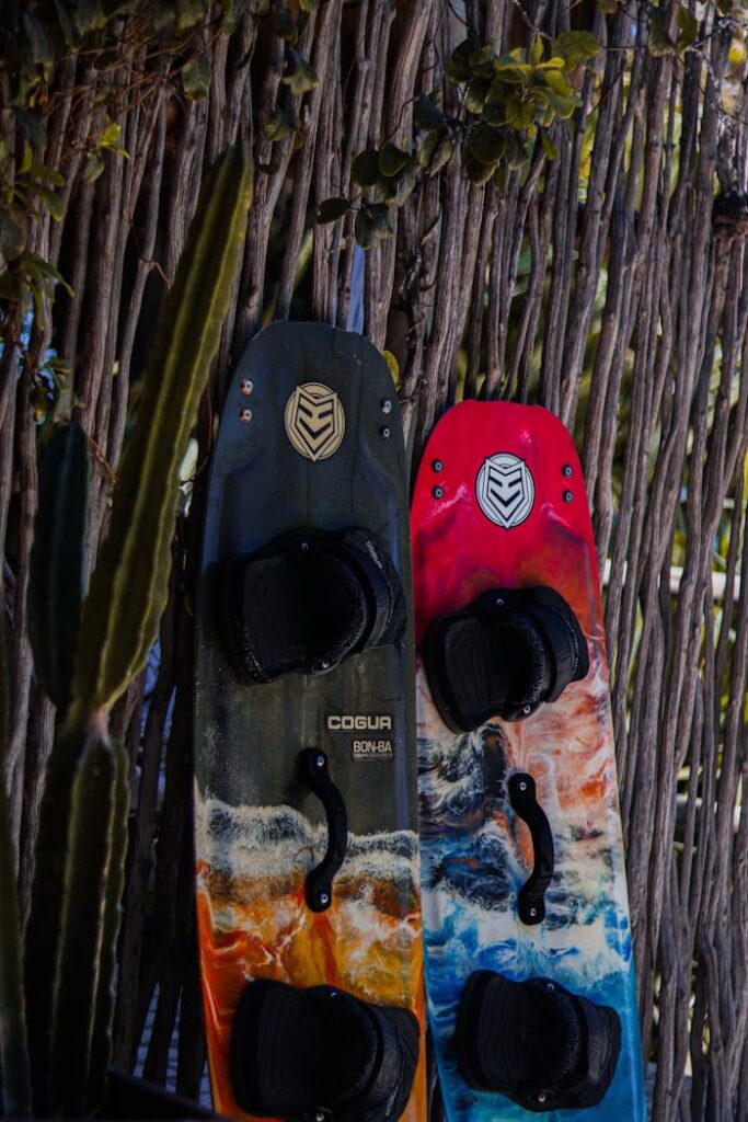 pexels photo 19863743.jpeg