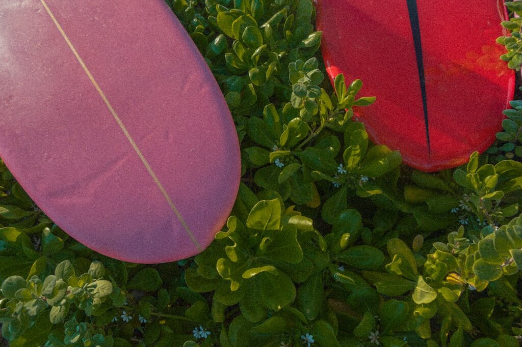 pexels photo 4783940.jpeg