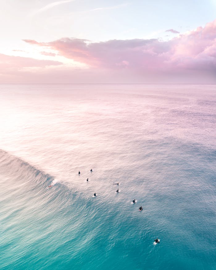 Aerial view of surfers waiting for a wave at sunrise in Maroubra Beach, Australia.